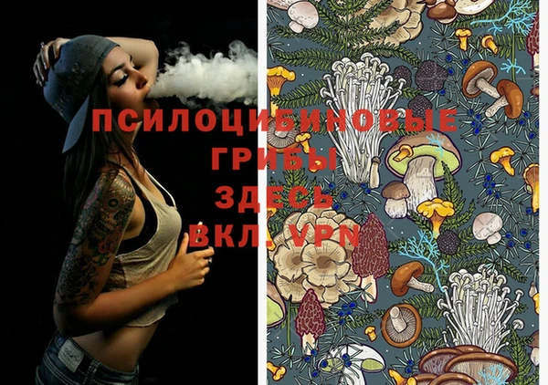МДМА Беломорск