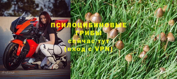МДМА Беломорск