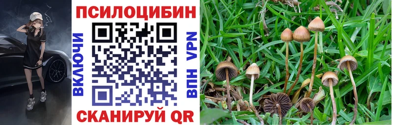 Галлюциногенные грибы MAGIC MUSHROOMS Михайлов